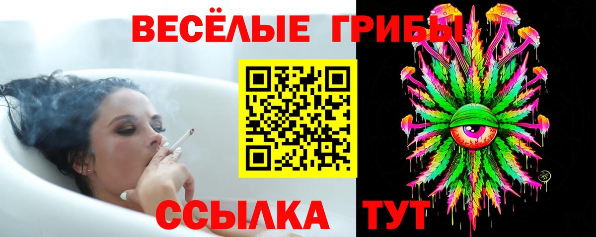 Псилоцибиновые грибы ЛСД Тихорецк