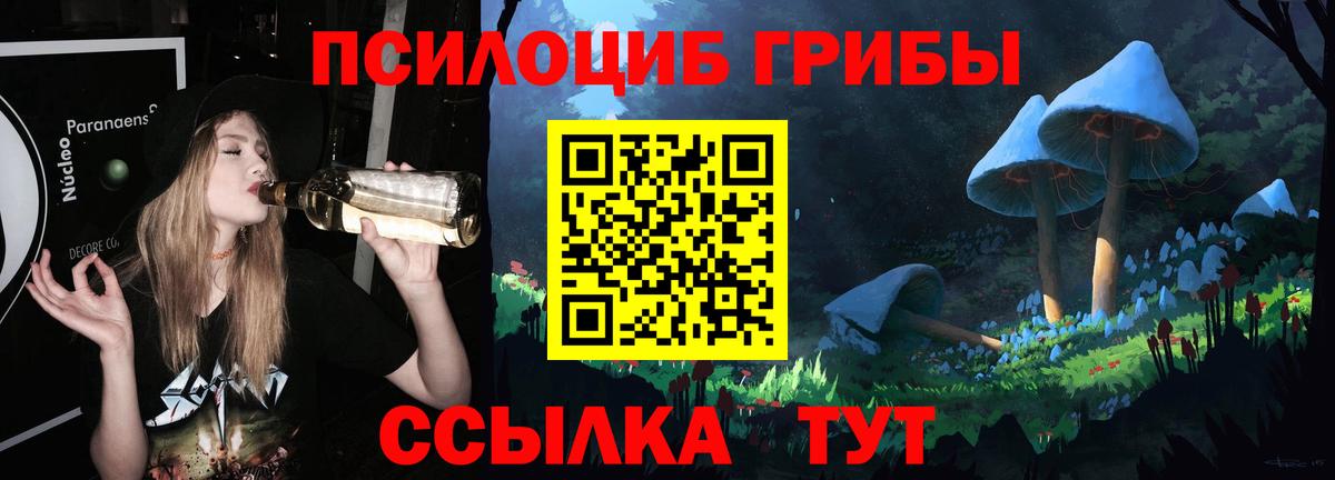 Псилоцибиновые грибы Magic Shrooms  Вход с VPN  Тихорецк  Псилоцибиновые грибы ЛСД 